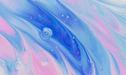 Featured image of post Blog